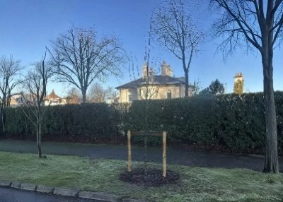 Hedge Trimming services in Gosport, Hampshire